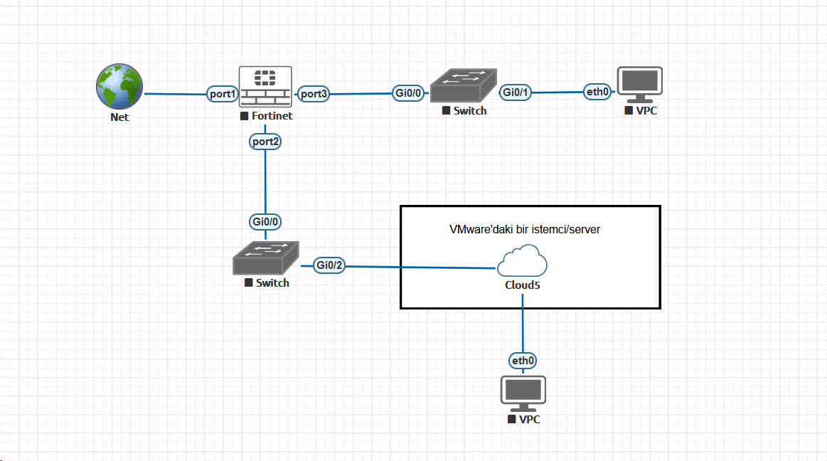 EVE-NG VMware Görsel 1