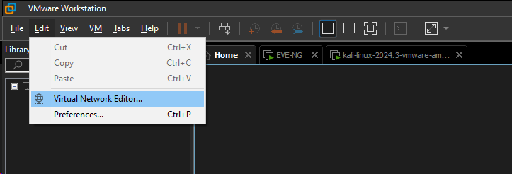 EVE-NG VMware Görsel 2