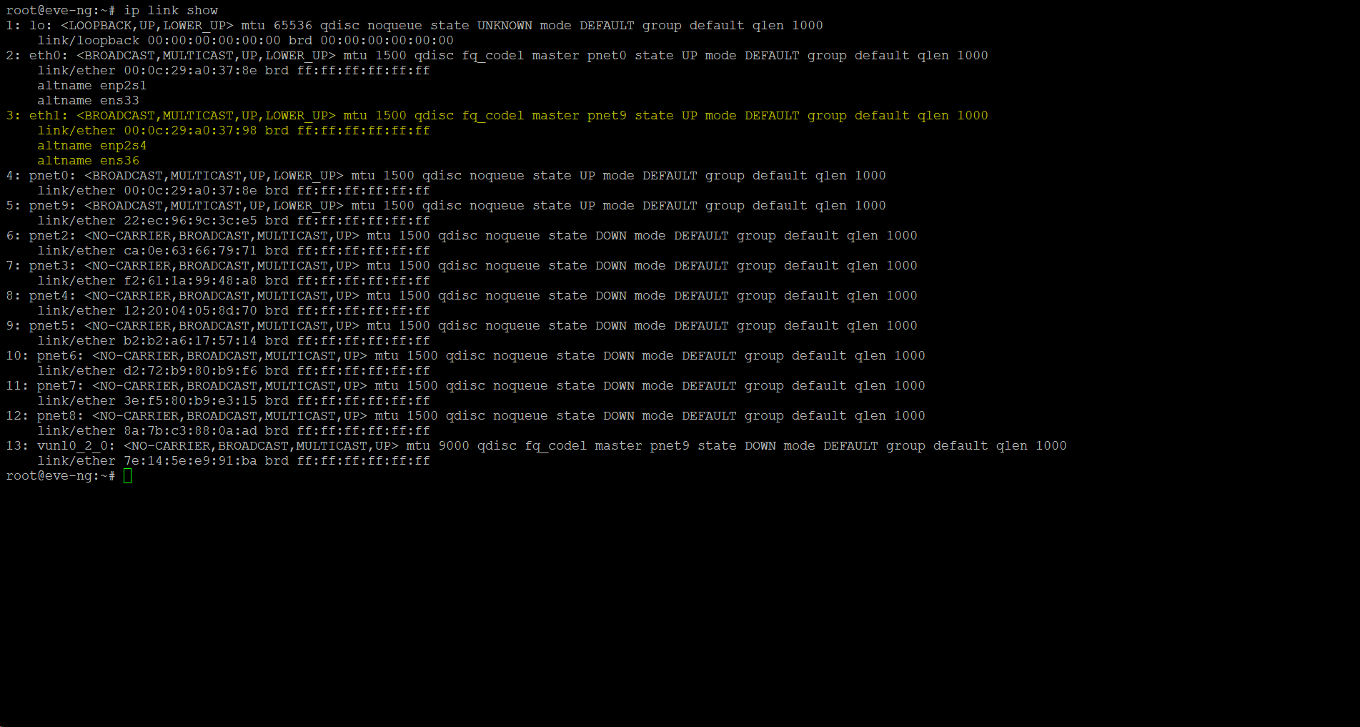 EVE-NG VMware Görsel 12