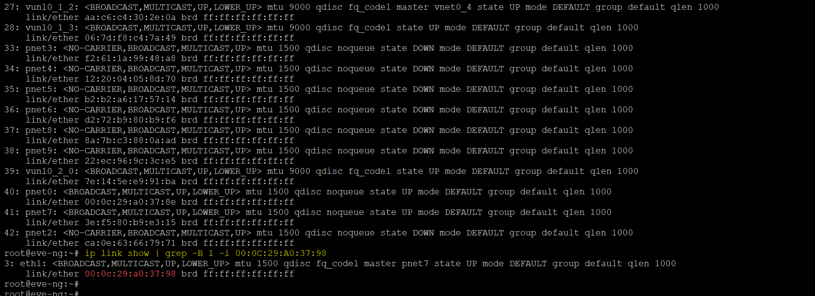 EVE-NG VMware Görsel 13
